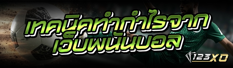 เทคนิคทำกำไรจากเว็บพนันบอล